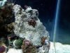 downsized_1020091314.jpg