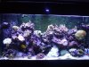 full tank3.jpg