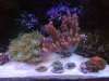 frags709242009.jpg