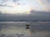 cannon beach.jpg