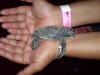 DSC00025.jpg