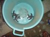 DSC00026.jpg