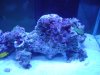 DSC03656.jpg