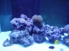 DSC03661.jpg