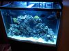 downsized_1022091725.jpg