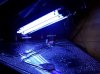 100_0197.jpg