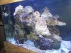 100_6497.jpg
