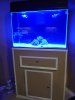 55g tank 005.jpg