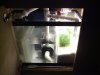 55g tank 001.jpg