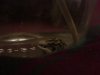 DSC00976.JPG