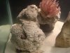 DSC01857.jpg