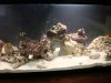 DSC01858.jpg