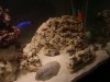 DSC01859.jpg