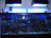 DSC02556.jpg