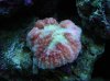DSC00094.jpg