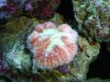 DSC00095.jpg