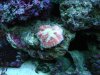DSC00098.jpg