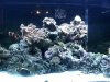 FTS1.jpg