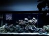 FTS4.jpg