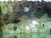 Above the Tank.jpg
