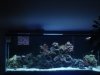 FTS10.jpg