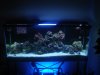 FTS8.jpg
