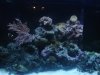 FTS7.jpg