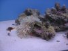 IMG_1276.JPG