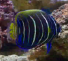 Picture 8.png