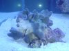 DSC03668.jpg