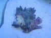 DSC03671.jpg