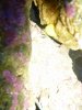 Aquarium 011.jpg