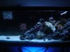 Full Tank Shot.jpg