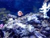 downsized_1108091308.jpg