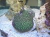 100_6325.jpg