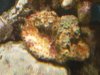 DSCN0860.JPG