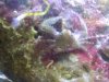 downsized_1109091915a.jpg