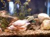 downsized_1115091633a.jpg