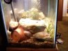 downsized_1115091634.jpg