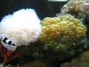 IMG_0848.jpg