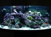 DSC00112.jpg
