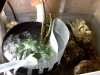 Biotope fuge.jpg