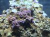 DSC00011.jpg