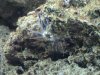 DSC00010.jpg