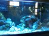 IMG00021-20091119-0851.jpg