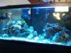 IMG00022-20091119-0851.jpg