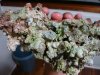 DSC01962.jpg