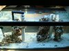 DSC01948.jpg