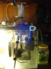 DSC01903.jpg