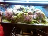 Uglytank.jpg